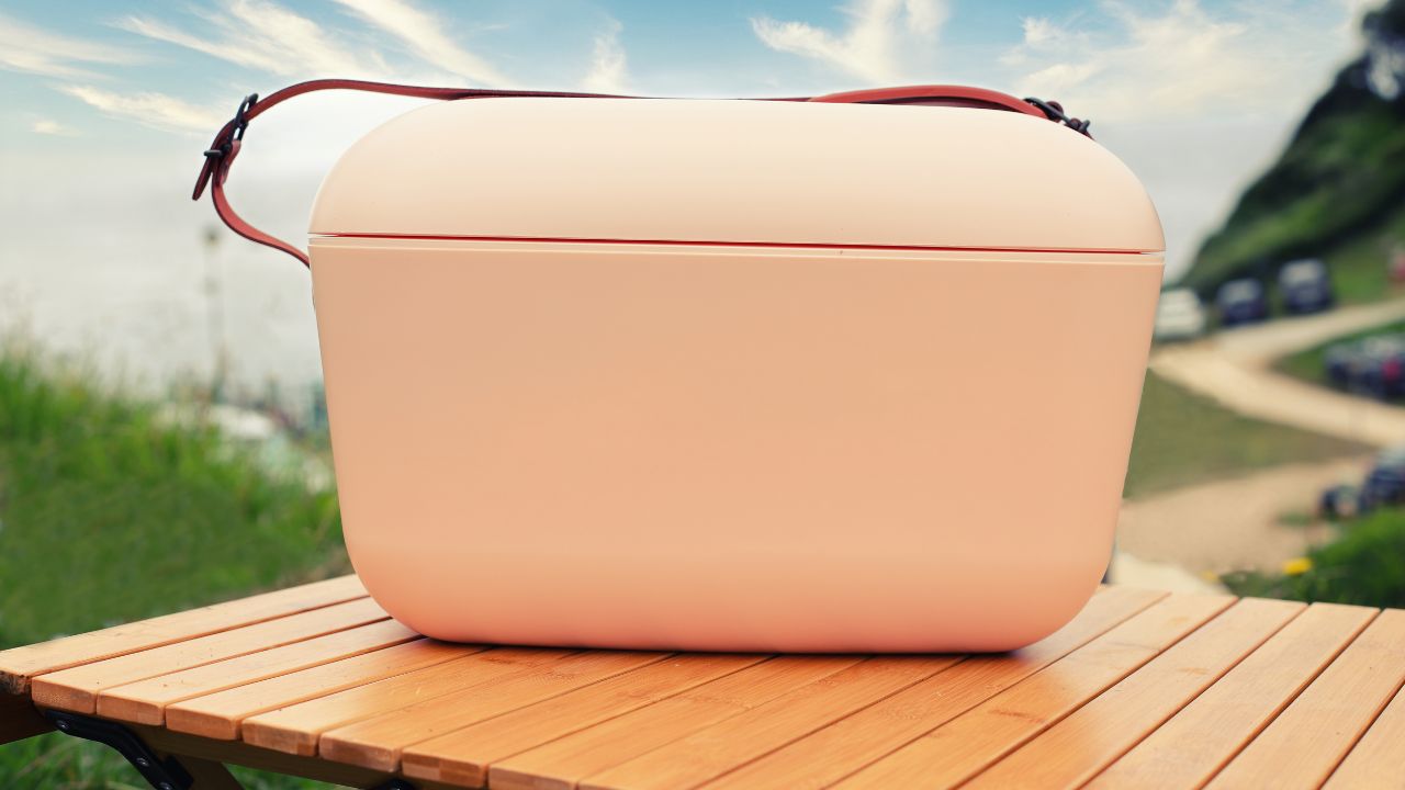 Why Businesses Trust Everich for Their Cooler Bag Needs